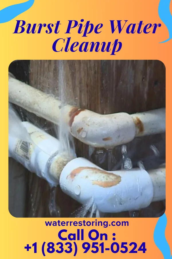 Burst Pipe Water Cleanup in Venango, NE